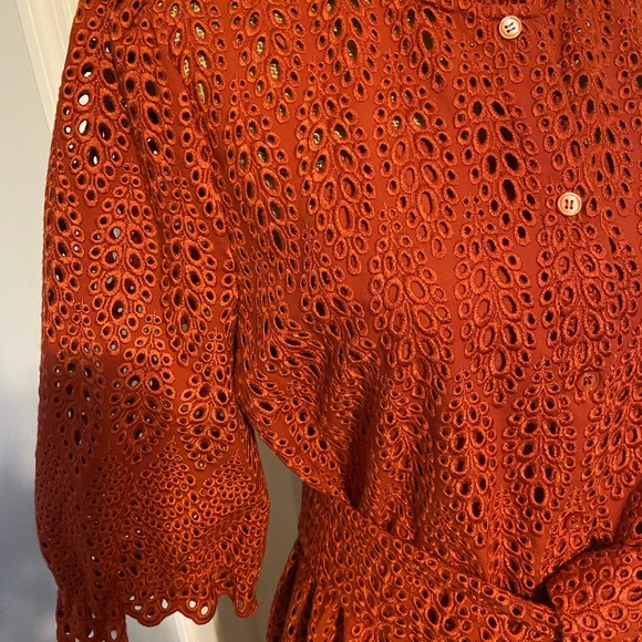 Rust colored lace The Fold London dress - Picture 7 of 11
